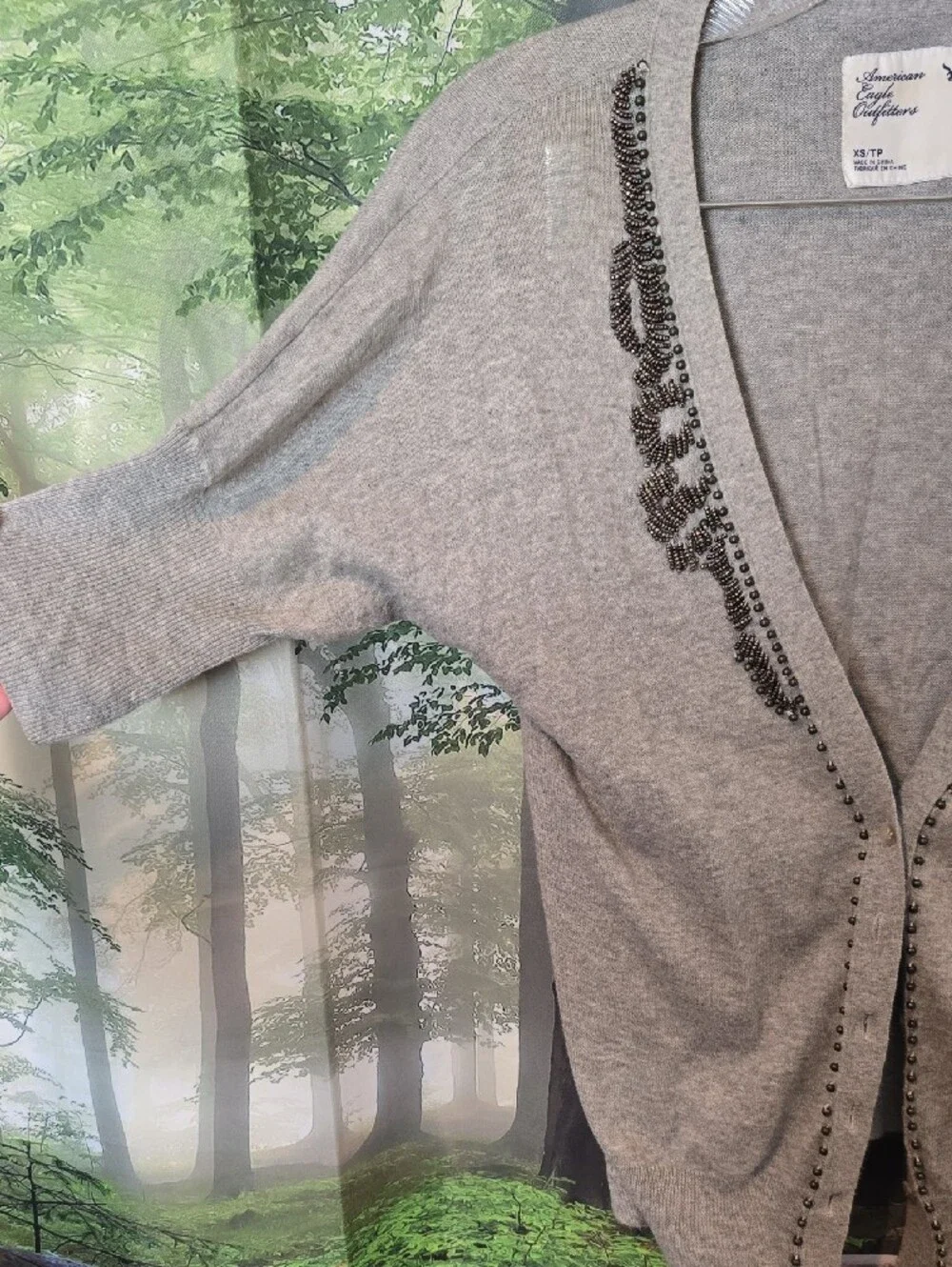 American Eagle Outfitters Light Gray Embellished V-Neck Sweater